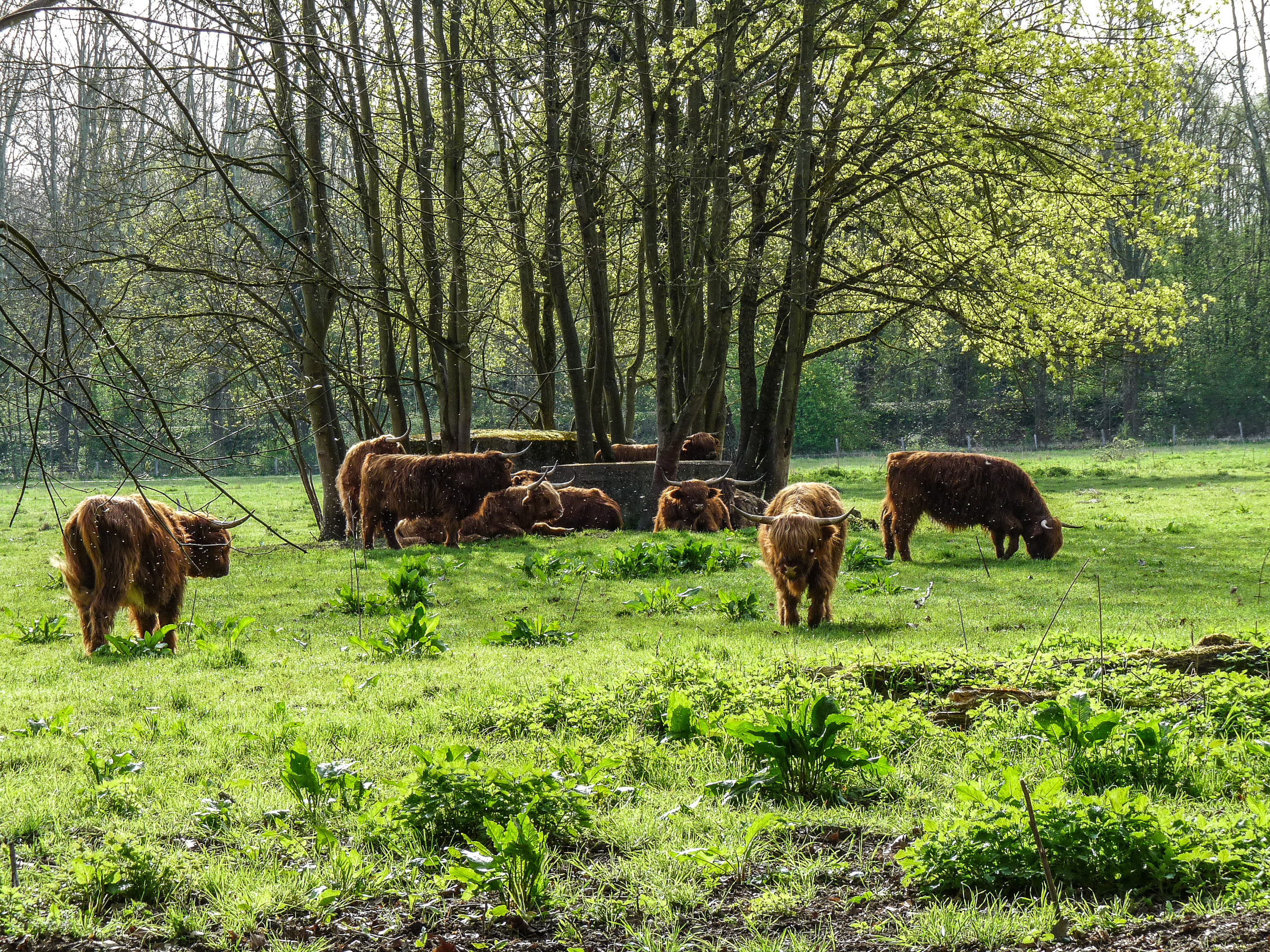 20180415093611 P1110094